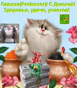 15771127.jpg