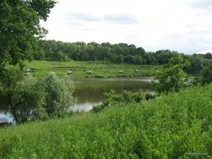 IMG_0101.jpg