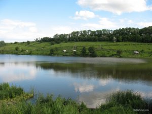 IMG_0107.jpg