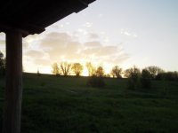 IMGP0708.JPG