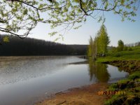 IMGP0715.JPG