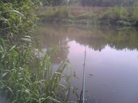 IMG0346A.jpg