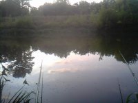 IMG0351A.jpg