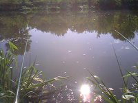 IMG0353A.jpg