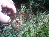 IMG0356A.jpg