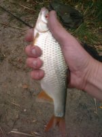DSC00482.jpg
