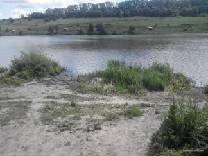 2016607135031.jpg