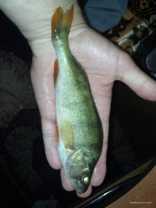 2016-06-09_22-04-03_404.jpg