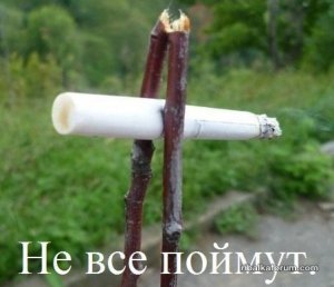 AlE6iQYeyuM.jpg