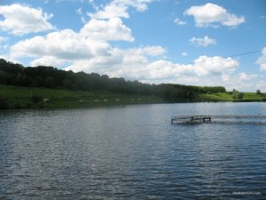 IMG_0117.jpg