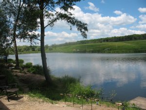 IMG_0126.jpg