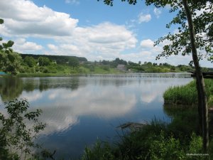IMG_0127.jpg