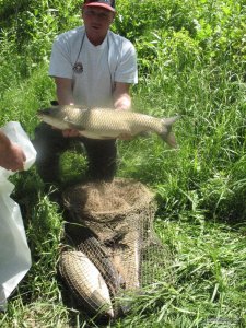 IMG_0131.jpg