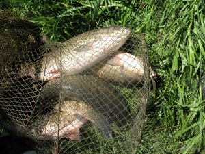 IMG_0130.jpg