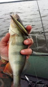 20160611_134157.jpg