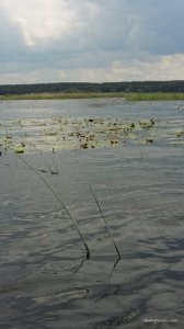 20160611_111804.jpg