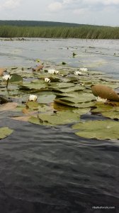 20160611_111825.jpg