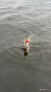 20160611_112343.jpg