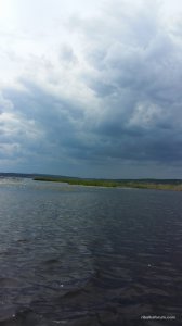 20160611_125629.jpg