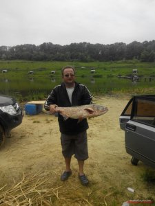 IMG_20160611_155152.jpg