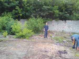Lenovo_A1000_IMG_20160611_140903.jpg