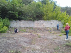 Lenovo_A1000_IMG_20160611_140932.jpg