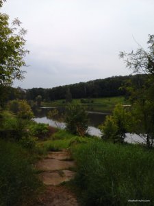 Lenovo_A1000_IMG_20160611_141232.jpg