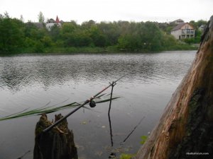 DSCN3206.JPG