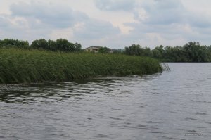 IMG_8795.JPG