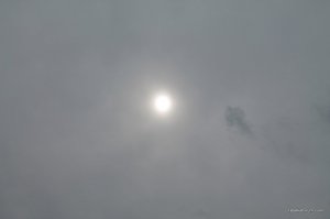 IMG_8800.JPG