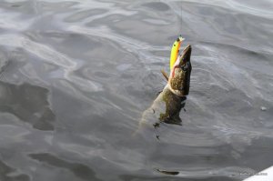 IMG_8783.JPG