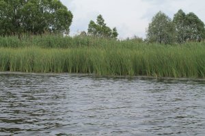 IMG_8796.JPG