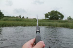 IMG_8790.JPG