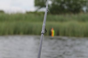 IMG_8793.JPG