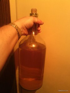 IMG_20160612_225039.jpg