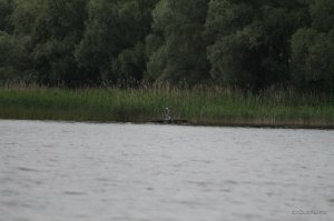 IMG_8857.JPG