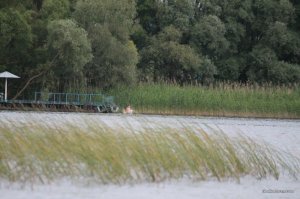 IMG_8855.JPG