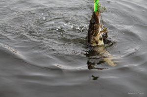 IMG_8838.JPG