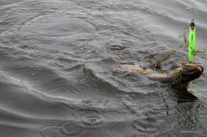 IMG_8840.JPG