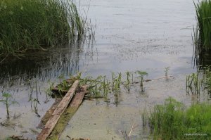 IMG_8770.JPG