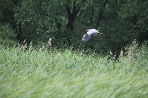 IMG_8813.JPG