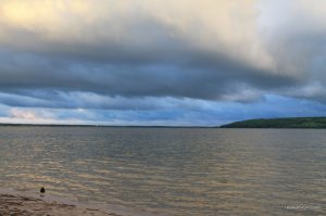 IMG_8177.JPG