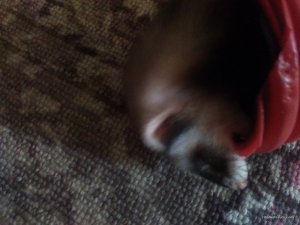 IMG_20160613_095240.jpg