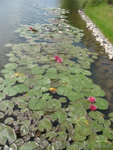 IMG_0159.jpg