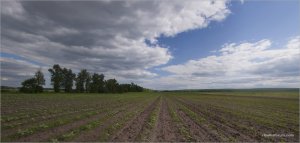 _MG_7823 Panorama1.jpg