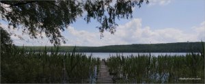 _MG_8084 Panorama1.jpg