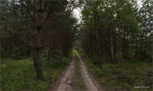 _MG_8132 Panorama копия.jpg