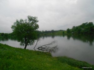 DSCN3117.JPG