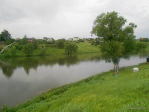 DSCN3119.JPG
