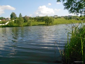 DSCN3130.JPG